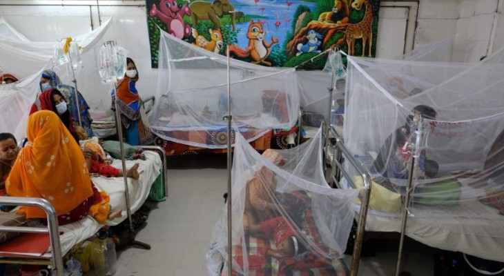Eight die of dengue, 2,036 hospitalised in 24 hours